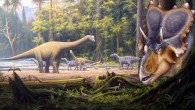 Mercuriceratops gemini. Image credit: Danielle Dufault / Gerhard Boeggemann.