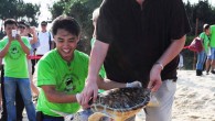 Yao Ming and Frederick Yeh release an endangered sea turtle back to nature. Image credit: Sea Turtles 911.