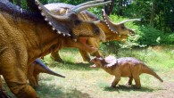 Triceratops models at JuraPark in Solec Kujawski, Poland. Image credit: CLI / CC BY-SA 3.0.