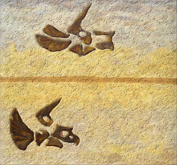This image shows the evolution of Triceratops in the Hell Creek Formation, Montana. Image credit: Holly Woodward.