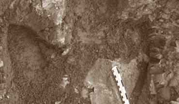 Footprint of an adult hadrosaur found at Denali National Park, Alaska. Image credit: Anthony R. Fiorillo et al.