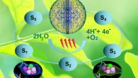 The oxygen-evolving complex (OEC) of photosystem II cycles through five states, where four electrons are sequentially extracted from the OEC in four light–driven, charge-separation events. The ellipses show snapshots of the metal cluster observed in the study. Image credit: Mary Zhu.