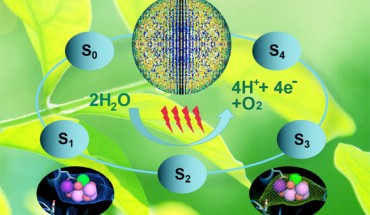 The oxygen-evolving complex (OEC) of photosystem II cycles through five states, where four electrons are sequentially extracted from the OEC in four light–driven, charge-separation events. The ellipses show snapshots of the metal cluster observed in the study. Image credit: Mary Zhu.