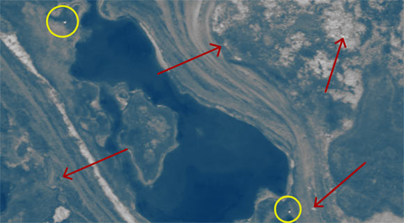 This satellite image shows polar bears on Rowley Island, Nunavut, during late summer, 2012: polar bears - yellow circles; landscape features, including rocks and substrate - red arrows. Image credit: DigitalGlobe.