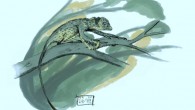 Scansoriopteryx, a hatchling. Image credit: Matt Martyniuk / CC BY-SA 3.0.