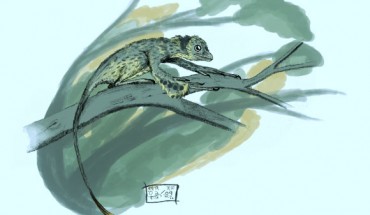 Scansoriopteryx, a hatchling. Image credit: Matt Martyniuk / CC BY-SA 3.0.