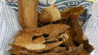 Contents of a commercial packet of dried porcini containing three species new to science. Image credit: Bryn Dentinger.