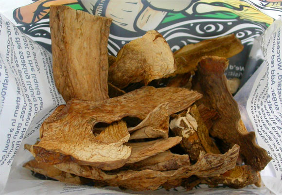 Contents of a commercial packet of dried porcini containing three species new to science. Image credit: Bryn  Dentinger.