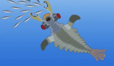 This is an artist's impression of Lyrarapax unguispinus. Image credit: Nicholas Strausfeld / University of Arizona.