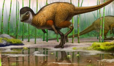Reconstruction of Kulindadromeus zabaikalicus. Image credit: Andrey Atuchin.