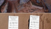 Hand axes found at the Kathu Townlands site, Northern Cape Province, South Africa. Image credit: Walker SJH et al.