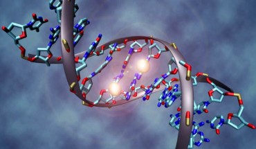 Illustration of a DNA molecule. Image credit: Christoph Bock, Max Planck Institute for Informatics / CC BY-SA 3.0.