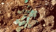 The hoard of 114 bronze coins from the Great Revolt Era unearthed on the outskirts of Jerusalem, Israel. Image credit: Vladimir Niihin / Israel Antiquities Authority.