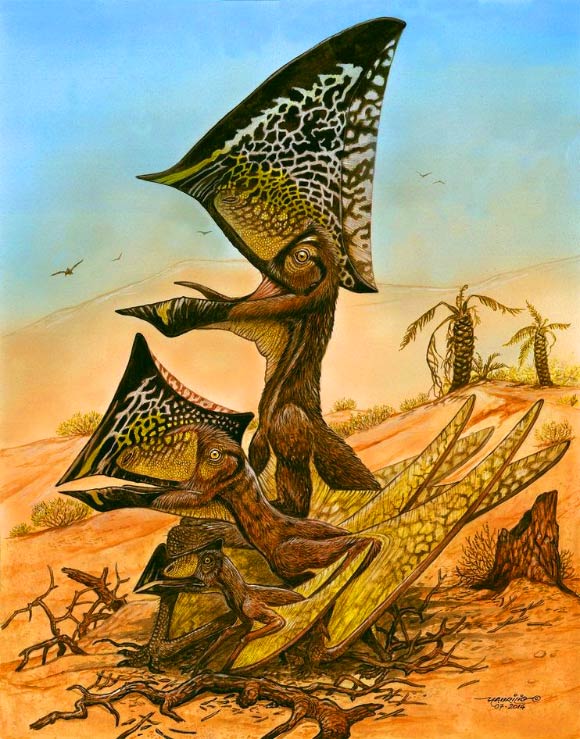 This is a reconstruction of three growth stages of Caiuajara dobruskii. Image credit: Maurilio Oliveira / Museu Nacional-UFRJ.
