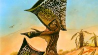 This is a reconstruction of three growth stages of Caiuajara dobruskii. Image credit: Maurilio Oliveira / Museu Nacional-UFRJ.