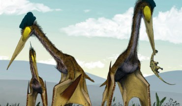 Life restoration of a group of giant azhdarchids, Quetzalcoatlus northropi, foraging on a Cretaceous fern prairie. Image credit: Mark Witton / Darren Naish.