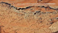 Paleosols found inside Gale Crater on Mars are evidence of habitable environments, but have yielded no conclusive evidence of life. Image credit: Gregory J. Retallack.