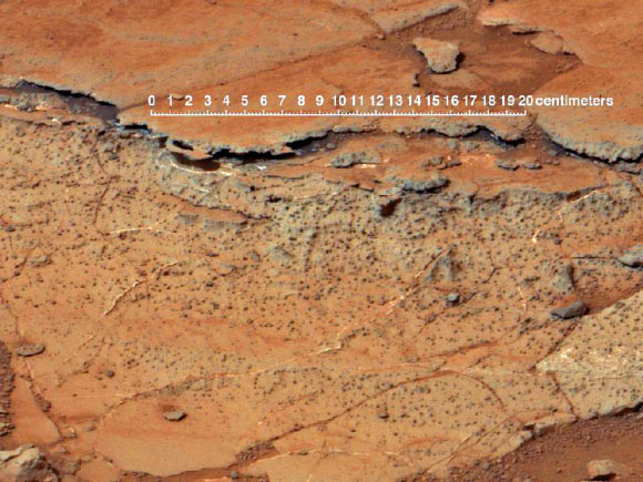 Paleosols found inside Gale Crater on Mars are evidence of habitable environments, but have yielded no conclusive evidence of life. Image credit: Gregory J. Retallack.