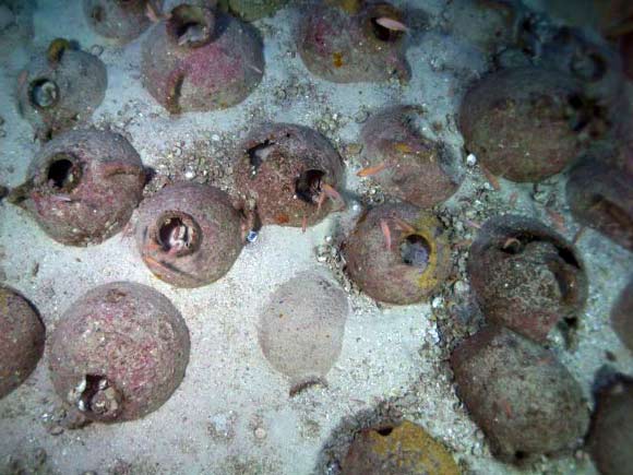 A rich amphorae field at the wreck site. Image credit: © Groplan project / Timmy Gambin, University of Malta.