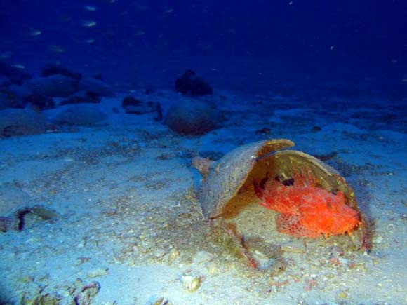 Amphorae at the wreck site. Image credit: © Groplan project / Timmy Gambin, University of Malta.