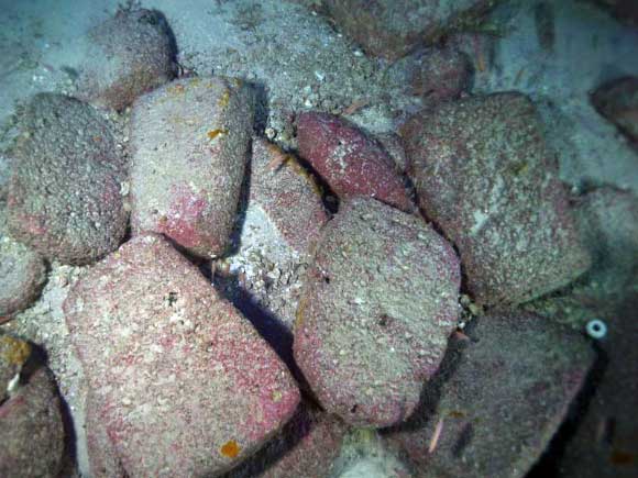 Grinding stones. Image credit: © Groplan project / Timmy Gambin, University of Malta.