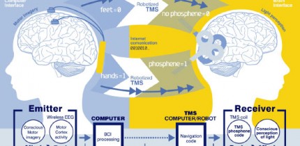Brain-to-brain communication system overview. On the left, the brain-computer interaction subsystem is shown schematically, including electrodes over the motor cortex and the EEG amplifier/transmitter wireless box in the cap. Motor imagery of the feet codes the bit value 0, of the hands codes bit value 1. On the right, the computer-brain interface system is illustrated, highlighting the role of coil orientation for encoding the two bit values. Communication between the brain-computer interaction and computer-brain interface system components is mediated by the Internet. Image credit: Grau C et al.