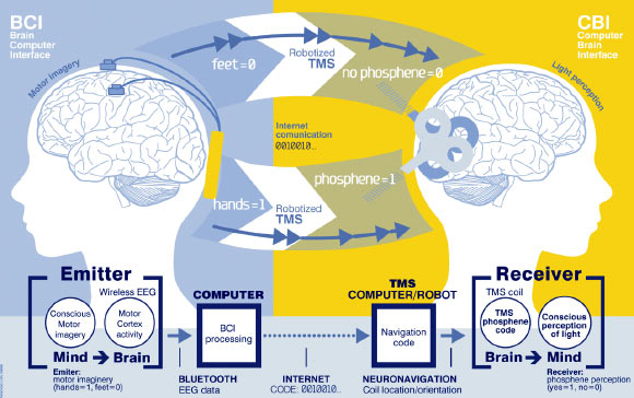 Brain-to-brain communication system overview. On the left, the brain-computer interaction subsystem is shown schematically, including electrodes over the motor cortex and the EEG amplifier/transmitter wireless box in the cap. Motor imagery of the feet codes the bit value 0, of the hands codes bit value 1. On the right, the computer-brain interface system is illustrated, highlighting the role of coil orientation for encoding the two bit values. Communication between the brain-computer interaction and computer-brain interface system components is mediated by the Internet. Image credit: Grau C et al.