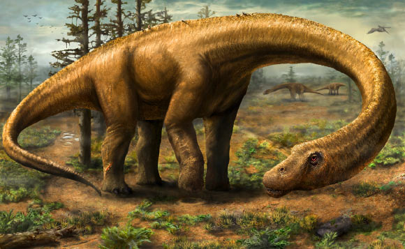 Rendering of Dreadnoughtus schrani in life. Image credit: Jennifer Hall.