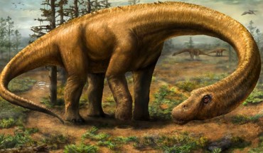 Rendering of Dreadnoughtus schrani in life. Image credit: Jennifer Hall.