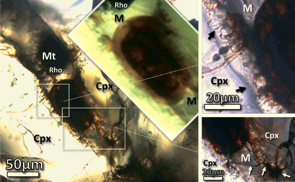 Transmitted light photomicrographs of the cell-like structure in Nakhla. Left: overview photomicrograph; the oval structure is situated inside a small late-forming pocket of mesostasis materials that is interstitial to two clinopyroxene crystals (Cpx); in detail, the oval exhibits a sharp contact with the adjacent amorphous mesostasis phase (M), which is identified as rhyolitic glass; the opaque phases are Ti magnetite (Mt) and rhoenite (Rho). Right: close-up photomicrographs; black arrows indicate conspicuous, orange-stained microchannel features in clinopyroxene rims; white arrows indicate fractures in the mesostasis M that are stained with iron oxide/hydroxide material (orange to yellow hues) and that extend up to the oval structure. Image credit: Chatzitheodoridis Elias et al.