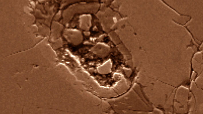 MEZLADPSYZYE×DISCOVERED MA-1 Plateau du Tademait 008 | Natural History, Including The