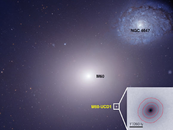 This Hubble Space telescope image shows the giant elliptical galaxy Messier 60 in the center, and the ultra-compact dwarf galaxy M60-UCD1 below it and to the right, and also enlarged as an inset; Messier 60’s gravity also is pulling galaxy NGC4647, upper right, and the two eventually will collide. Image credit: NASA / Space Telescope Science Institute / European Space Agency.