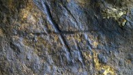 Neanderthal engraving from Gorham's Cave, Gibraltar. Image credit: Joaquín Rodríguez-Vidal et al.