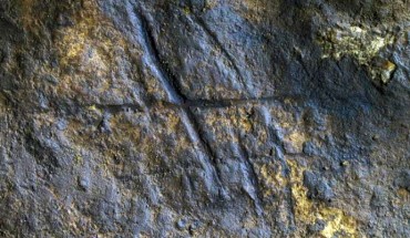 Neanderthal engraving from Gorham's Cave, Gibraltar. Image credit: Joaquín Rodríguez-Vidal et al.