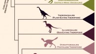 Family tree of coelurosaurian theropods and birds. Image credit: Stephen L. Brusatte et al.
