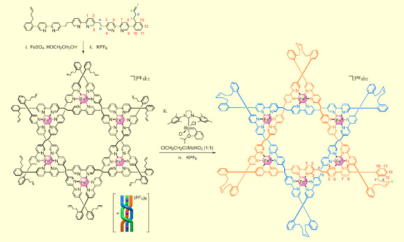 The route to the Star of David catenane. Image credit: David A. Leigh et al.
