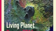Global wildlife populations have declined by more than half in just 40 years as measured in the Living Planet Report 2014.