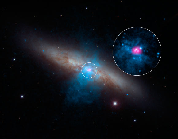 A rare and mighty pulsar (magenta) can be seen at the center of Messier 82 in this image. Image credit: NASA / JPL-Caltech / SAO / NOAO.