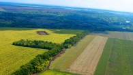 Location of the remains of a 6,000-year-old temple. Image credit: Nataliia Burdo / Mykhailo Videiko.