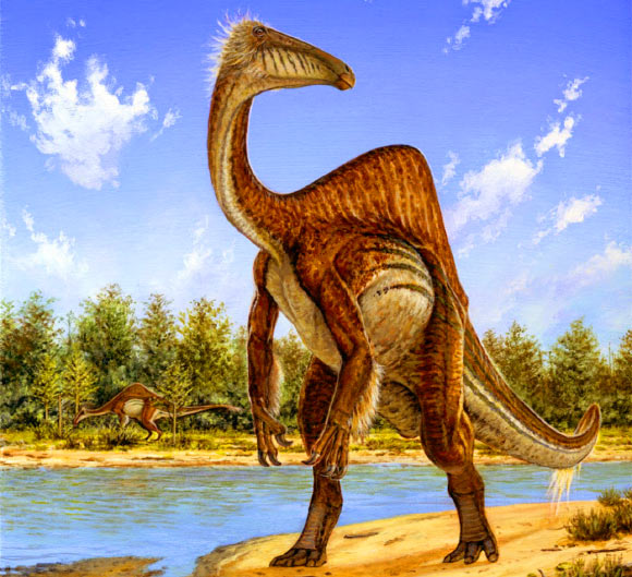 Reconstruction of Deinocheirus mirificus. Image credit: © Michael Skrepnick.