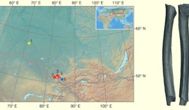Left: map of Siberia with major archaeological sites: 1- Ust’-Ishim; 2 - Chagyrskaya Cave (Neanderthal fossils); 3 - Okladnikov Cave (Neanderthal fossils); 4: Denisova Cave (Denisovan fossils); 5: Kara-Bom (Upper Paleolithic site). Right: the Ust’-Ishim femur: lateral and posterior views. Image credit: Qiaomei Fu et al.
