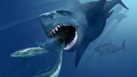 Carcharocles megalodon pursuing two prehistoric whales. Image credit: Karen Carr / CC BY 3.0.