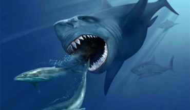 Carcharocles megalodon pursuing two prehistoric whales. Image credit: Karen Carr / CC BY 3.0.