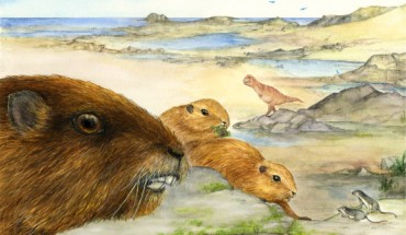 This is an artist's rendering of Vintana sertichi. Image credit: © Lucille Betti-Nash.