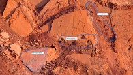 Mammal and dinosaur trackways. Image credit: Octávio Mateus.