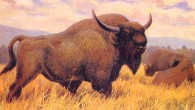 The Steppe bison (Bison priscus) by Constantine Flerow, 1989.