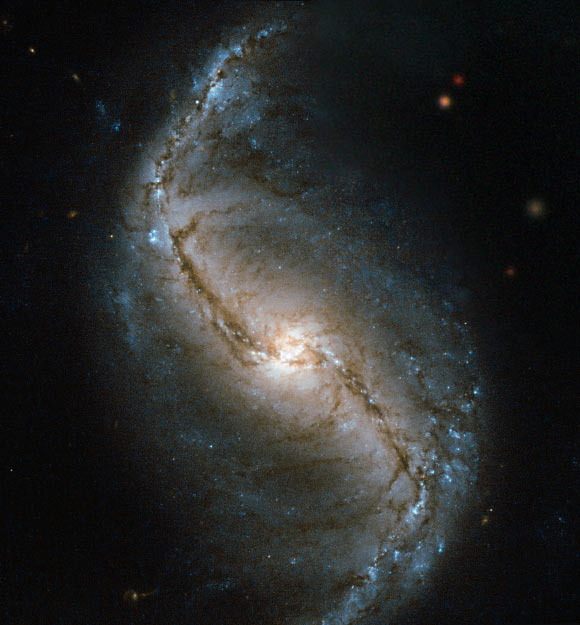 This image shows the barred spiral galaxy NGC 986. Image credit: NASA / ESA.
