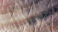 Detail of the engraving. Image credit: Wim Lustenhouwer / VU University Amsterdam.