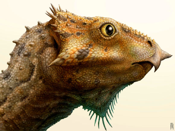 Life restoration of Aquilops americanus. Image credit: Brian Engh / Raymond M. Alf Museum of Paleontology.