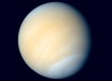 Venus in real colors, processed from Mariner 10 images. Image credit: Mattias Malmer / NASA.